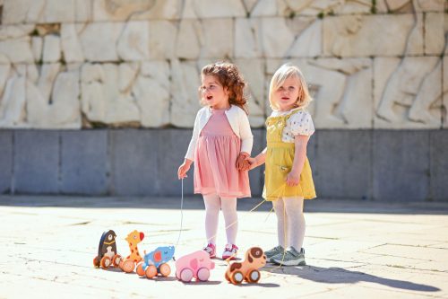 Lorelli Toys készségfejlesztő játék - Elefánt