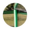Chipolino Party Trambulin 215 cm - green