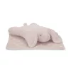 Lorelli Poffy Duo takaró 75x90 cm párnával 45x30 cm - Peach Bunny