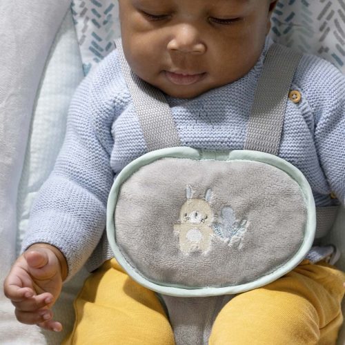 INGENUITY Rezgő hinta dallamokkal, USB Dual-Direction, AnyWay Sway™, Spruce™, 0 hó+, 9 kg-ig