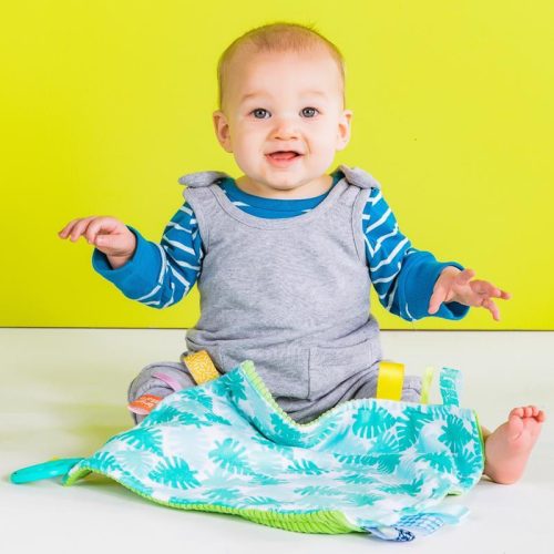 Bright Starts Morzsolókendő C karikán Little Taggies pálma 0hó+