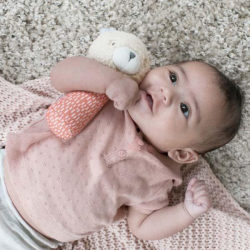 INGENUITY Plüss csörgő maci, Nate™, 0 hó+