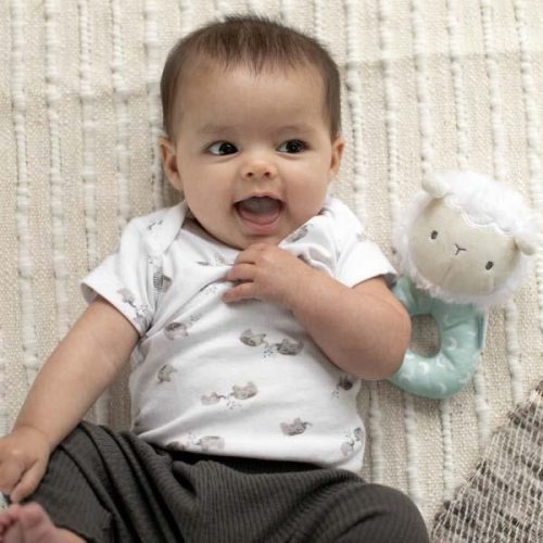 INGENUITY Plüss, kerek, bárány csörgő, Sheppy™, 0 hó+