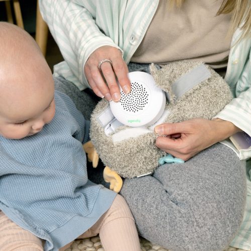 INGENUITY Altató játék, plüss zenélő bagoly, Nally™, 0 hó+