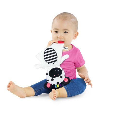 Baby Einsein Plüss rágóka érzékszervi Zebra Zen™ 0hó+
