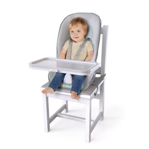INGENUITY Etetőszék, 6in1 Beanstalk™, Ray™, 0 hó+, 23 kg-ig