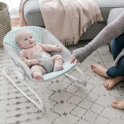 INGENUITY Hintaszék, Ity Goji, 0 hó+, 9 kg-ig