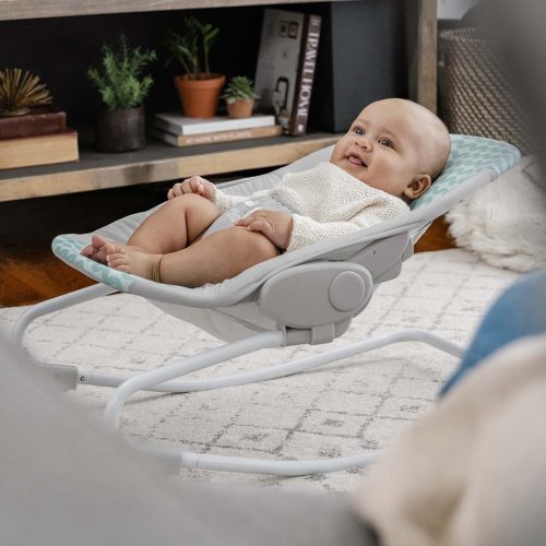 INGENUITY Hintaszék, Ity Goji, 0 hó+, 9 kg-ig