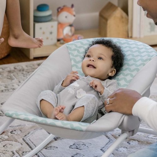 INGENUITY Hintaszék, Ity Goji, 0 hó+, 9 kg-ig