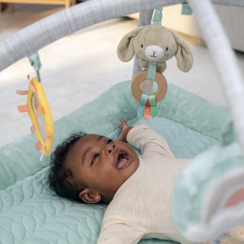 INGENUITY Játszószőnyeg párnával, Calm Springs™, 0 hó+