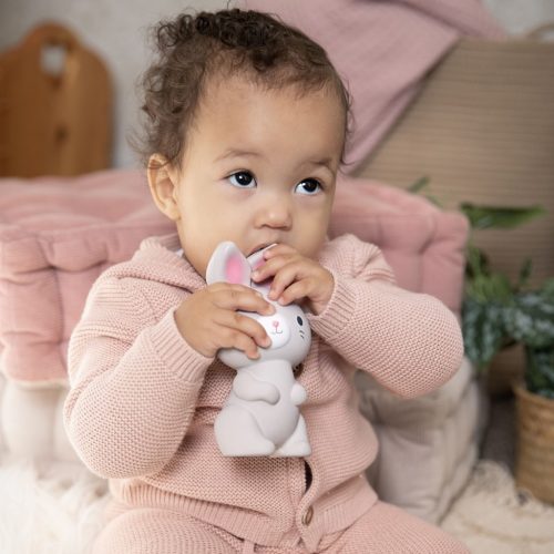 INGENUITY Kaucsuk rágóka, nyuszi, Sylvi™, 0 hó+