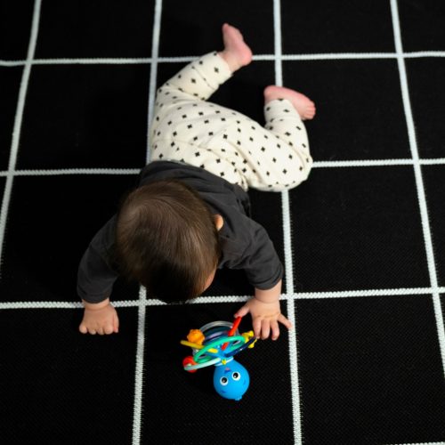 Baby Einstein Rágóka/csörgő Opus’s Shake & Soothe™, 0 hó+