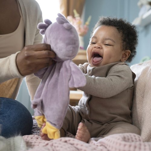 INGENUITY Plüss játék bagoly, Nally, 0 hó+