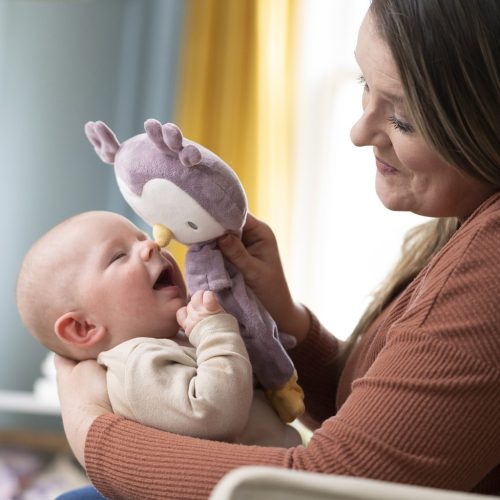 INGENUITY Plüss játék bagoly, Nally, 0 hó+