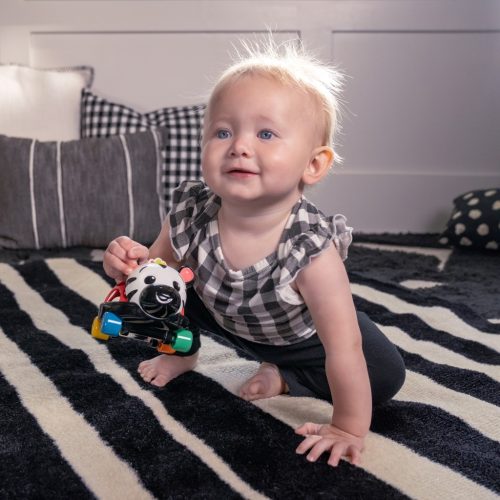 OBALL Autó és csörgő, 2in1 Curious Car, zebra, Zen™, 3 hó+