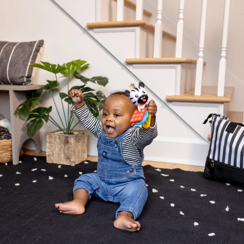 Baby Einstein Rágóka csörgővel zebra Zen™ Shake-a-Shape BPA mentes - 0hó+