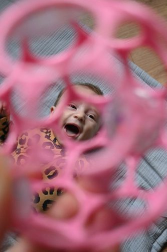 OBALL Játék OBALL™ Csörgő 10 cm 0hó + AQUAINT 50 ml - dark pink