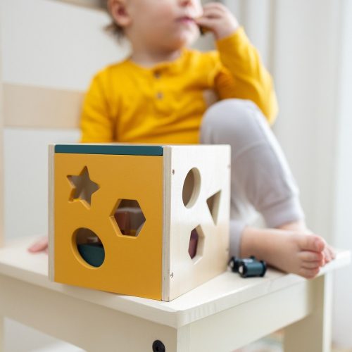 Petite&Mars Fa formaválogató játék, Gravity Wood of Mars, 12 hó+