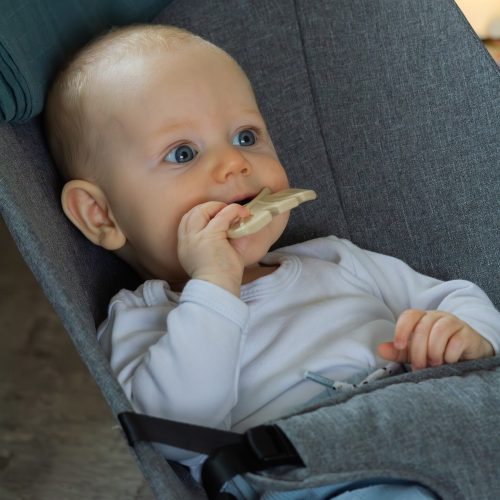 Petite&Mars Szilikon rágóka, Take&Match, Dusty Rose, 0 hó+