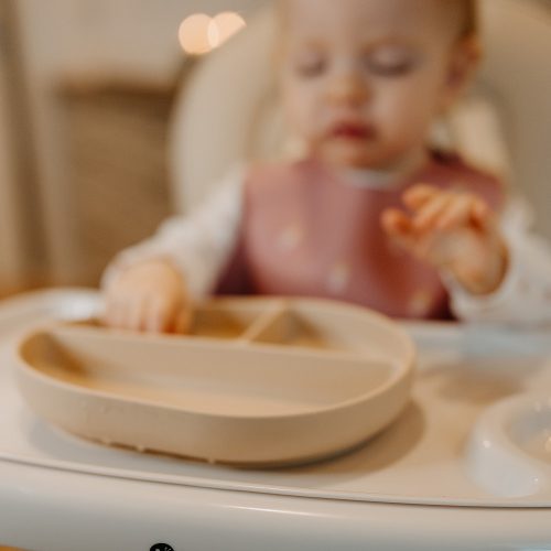 Petite&Mars Szilikon osztott ovális tányér, Take&Match, Dusty Rose, 6 hó+