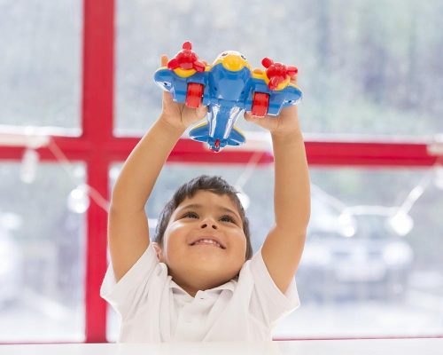 Wow Johnny, az állati repülő